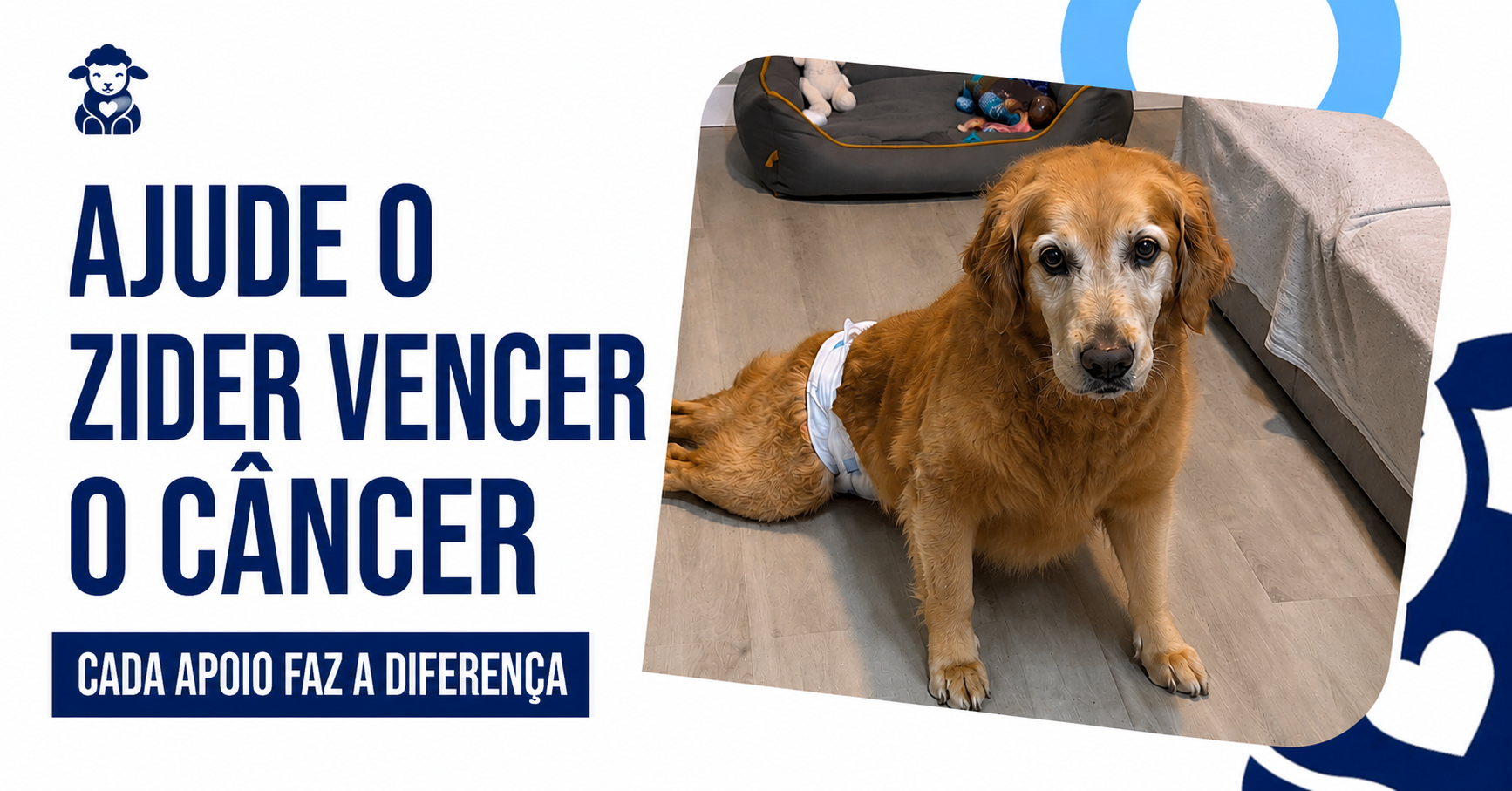 Ajude o Zider vencer o câncer — cada apoio faz a diferença