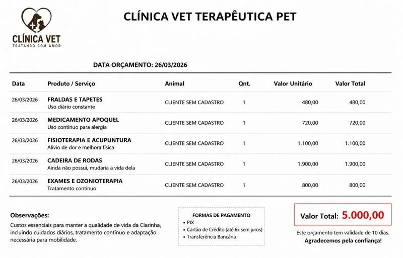 Orçamento da Clínica Vet Terapêutica Pet
